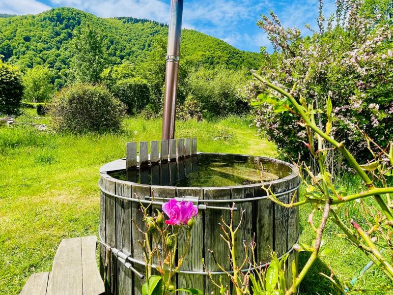 Bain nordique en bois, entouré de verdure et fleurs, sous un ciel bleu.