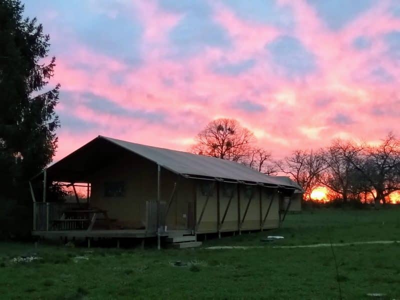 Tente safari spacieuse au coucher de soleil, entourée de verdure.