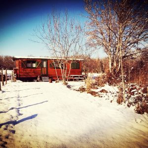 Cabane en bois au milieu de la neige, entourée d'arbres dénudés et d'un paysage hivernal.