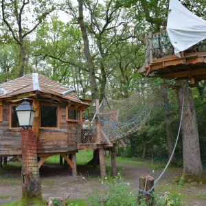 Cabane en bois perchée dans les arbres, avec un pont suspendu et une décoration rustique.