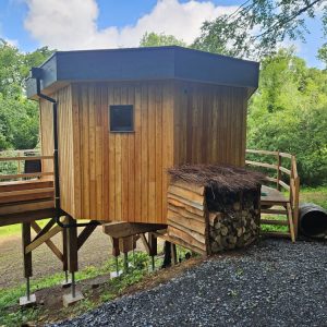 Cabane en bois sur pilotis, avec un toit en pente et un accès en bois, entourée de verdure.