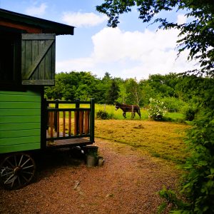 Une roulotte verte au milieu de la nature, avec un cheval paissant à proximité.