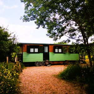 Charmante roulotte en bois, entourée de verdure et de fleurs sauvages, offrant un cadre paisible.