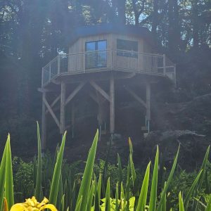 Cabane sur pilotis entourée de verdure, offrant une vue imprenable sur la nature environnante.