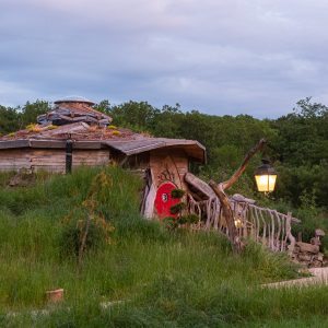 Hébergement insolite : une maison en bois au toit végétal, entourée de verdure et d'une lampe