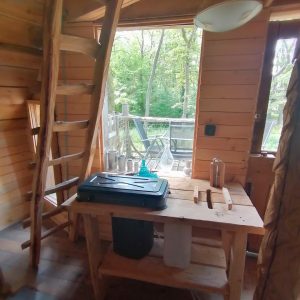 Cabane en bois avec une vue sur la nature, équipée d'une table en bois et d'une échelle.