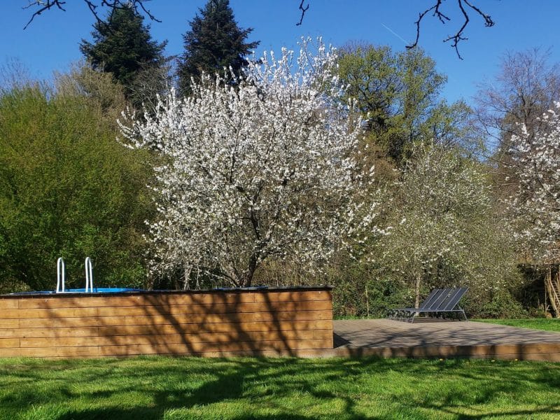 Gîte avec piscine en bois, entouré darbres en fleurs et dun grand jardin verdoyant.