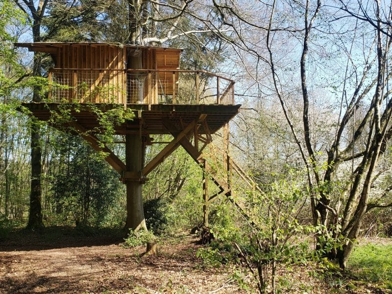 Cabane dans les arbres, perchée au milieu dune forêt verdoyante et ensoleillée.