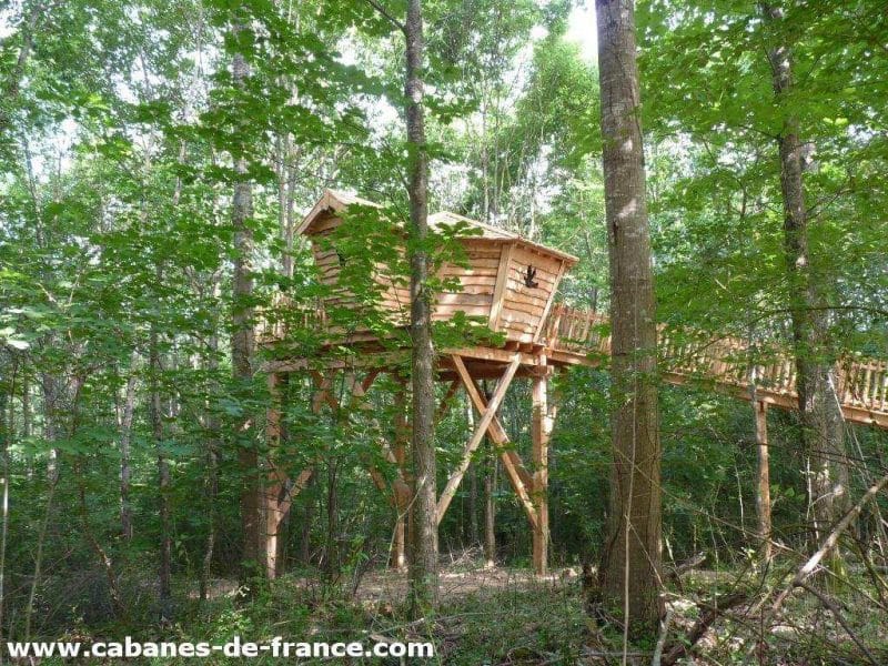 Cabane dans les arbres, perchée au milieu dune forêt verdoyante.