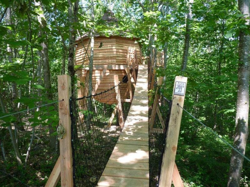 Cabane dans les arbres, accessible par un pont suspendu au milieu de la forêt verdoyante.