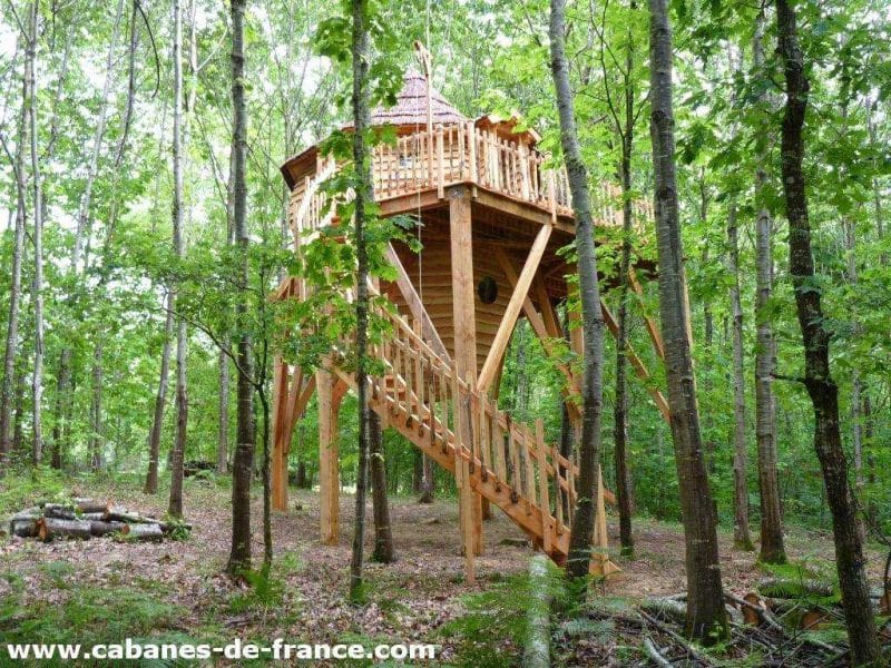 Cabane perchée en bois, entourée darbres verdoyants, offrant une vue apaisante.