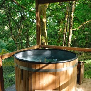 Bain nordique en bois, niché dans la verdure, offrant une vue apaisante sur la nature.