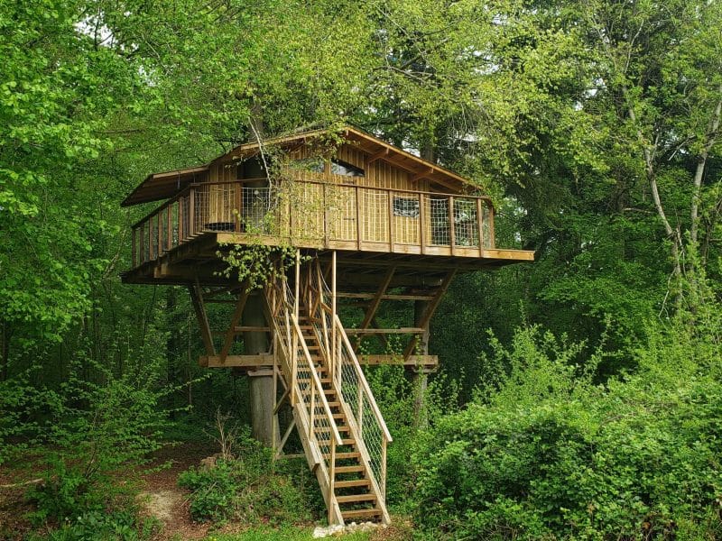Cabane dans les arbres, perchée au milieu dune verdure luxuriante.