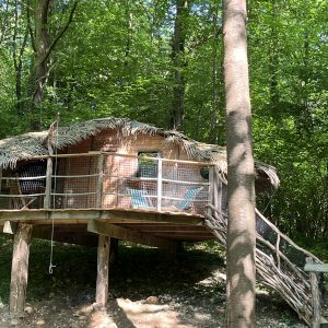 Cabane perchée dans les arbres, avec un toit en chaume et un accès en bois, entourée de verdure.