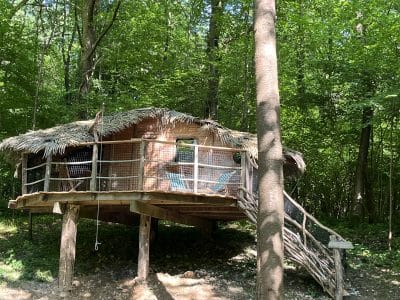 Cabane perchée dans les arbres, avec un toit en chaume et un accès en bois, entourée de verdure.