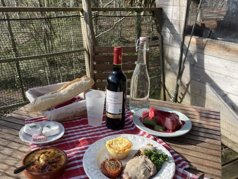 Cabane en bois avec table dressée, repas savoureux et bouteille de vin en pleine nature.