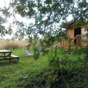 Cabane en bois entourée de verdure, avec une table en bois et des chaises longues.