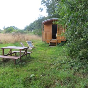 Roulotte en bois entourée de verdure, avec table de pique-nique et chaises longues.
