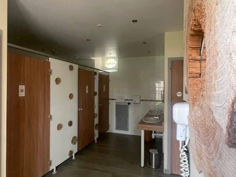 Chalet moderne avec salle de bain commune et décor en bois chaleureux.