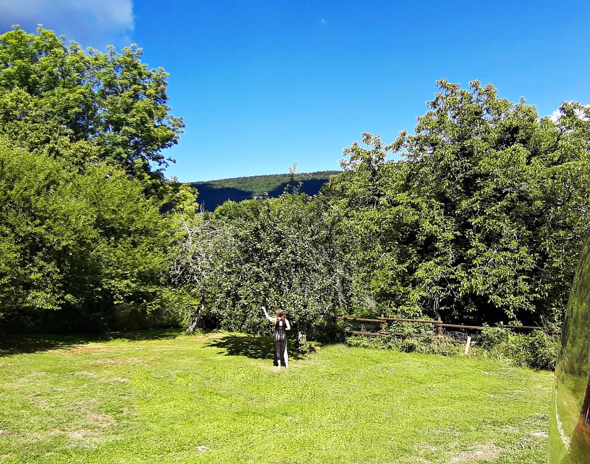 Hébergement insolite en pleine nature, avec un grand espace vert et des arbres luxuriants.