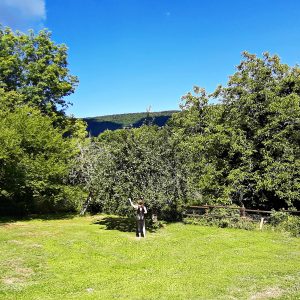 Hébergement insolite en pleine nature, avec un grand espace vert et des arbres luxuriants.
