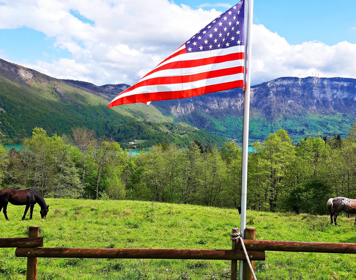 Hébergement insolite en pleine nature, avec chevaux paissant et vue sur les montagnes verdoyantes.