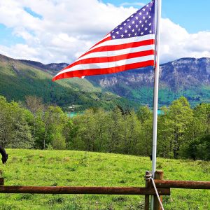 Hébergement insolite en pleine nature, avec chevaux paissant et vue sur les montagnes verdoyantes.