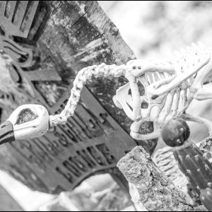 Hébergement insolite : décor macabre avec un squelette d'oiseau sur une pierre tombale.