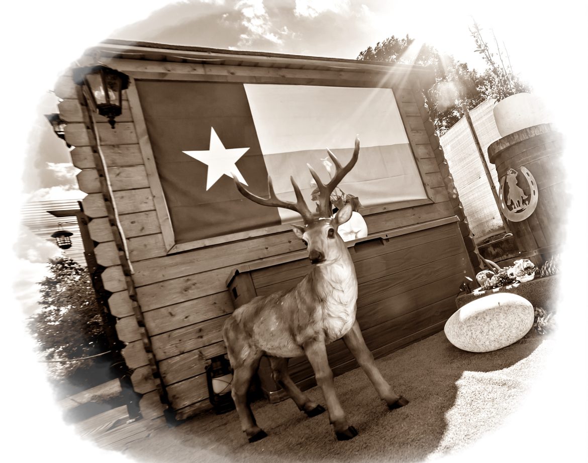 Cabane en bois avec un décor original, incluant un cerf en faux et un drapeau.