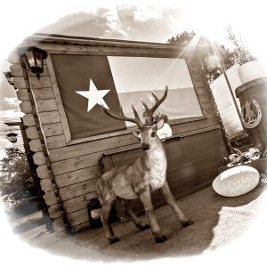 Cabane en bois avec un décor original, incluant un cerf en faux et un drapeau.