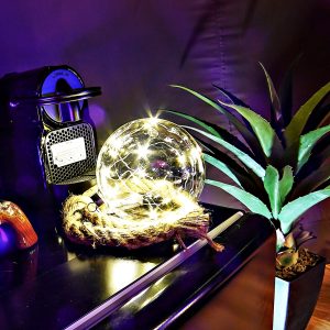 Hébergement insolite : intérieur cosy avec des lumières scintillantes et des plantes décoratives.