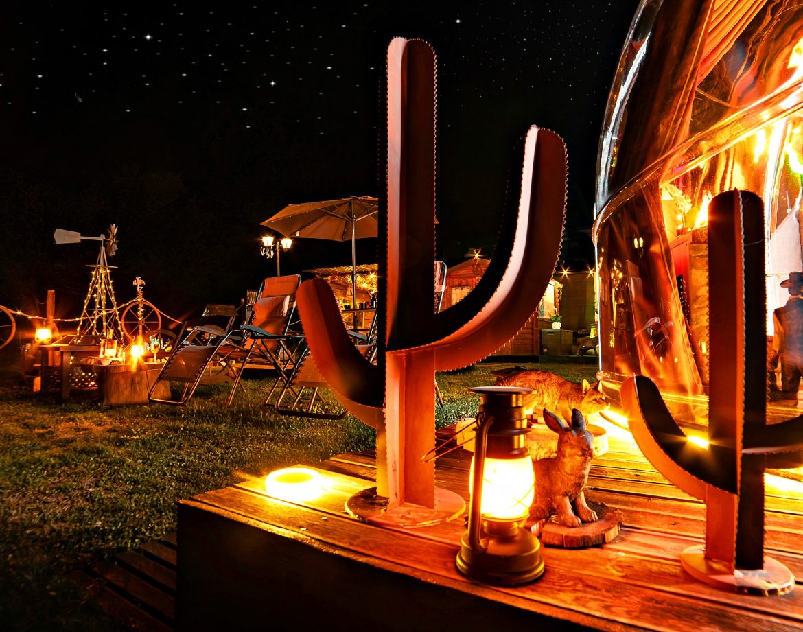 Hébergement insolite sous les étoiles, avec des cactus décoratifs et une ambiance chaleureuse.