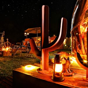 Hébergement insolite sous les étoiles, avec des cactus décoratifs et une ambiance chaleureuse.