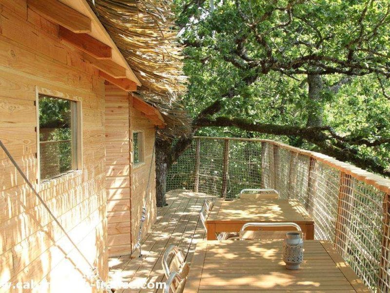 Cabane perchée en bois avec terrasse ensoleillée entourée darbres verdoyants.