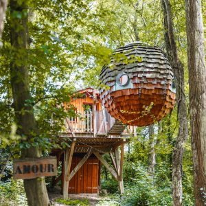 Cabane dans les arbres avec une structure ronde, nichée au cœur d'une forêt verdoyante.