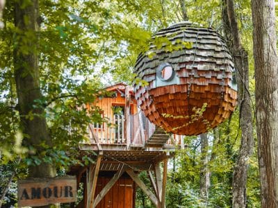 Cabane dans les arbres avec une structure ronde, nichée au cœur d'une forêt verdoyante.