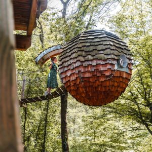 Cabane suspendue en forme d'œuf, perchée dans les arbres, entourée de verdure luxuriante.