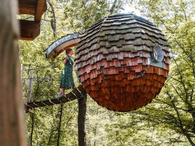 Cabane suspendue en forme d'œuf, perchée dans les arbres, entourée de verdure luxuriante.