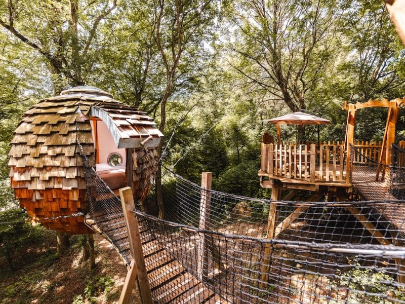 Cabane dans les arbres en forme de bulle, perchée au milieu des feuillages verdoyants.