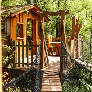 Cabane dans les arbres avec un pont suspendu, entourée de verdure luxuriante.