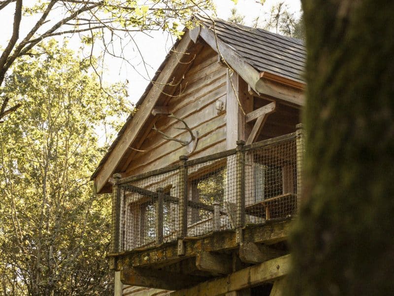 Cabane perchée dans les arbres, entourée de verdure et de lumière naturelle.