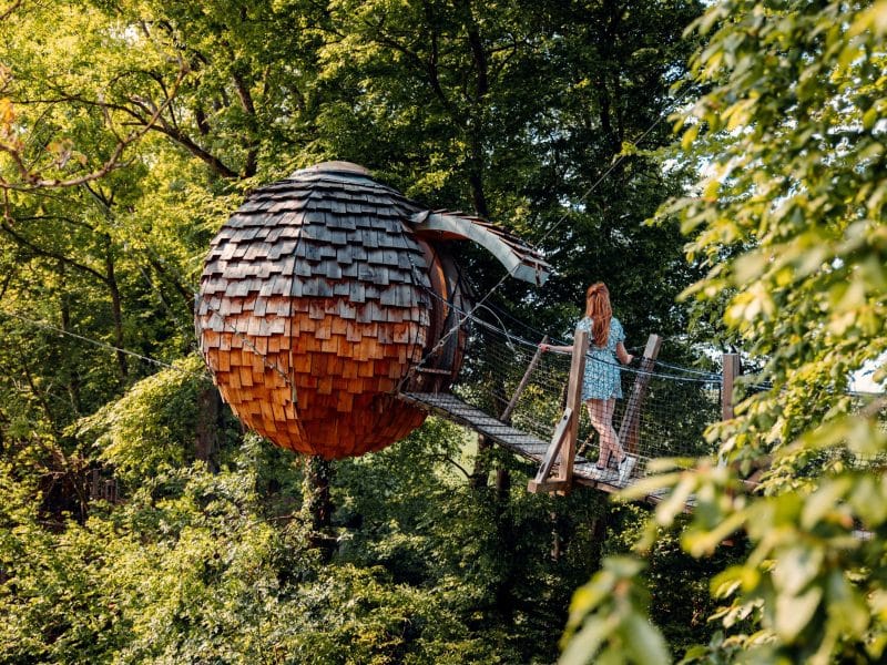 Cabane dans les arbres en forme de noix, perchée au milieu d'une verdure luxuriante.