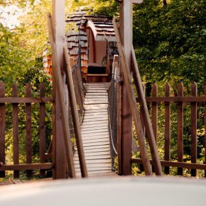 Cabane perchée accessible par un pont suspendu, entourée de verdure et d'une piscine.