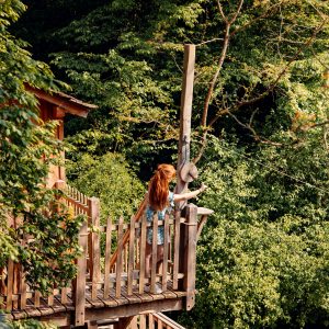 Cabane dans les arbres, perchée au milieu de la verdure, avec une vue imprenable sur la nature.