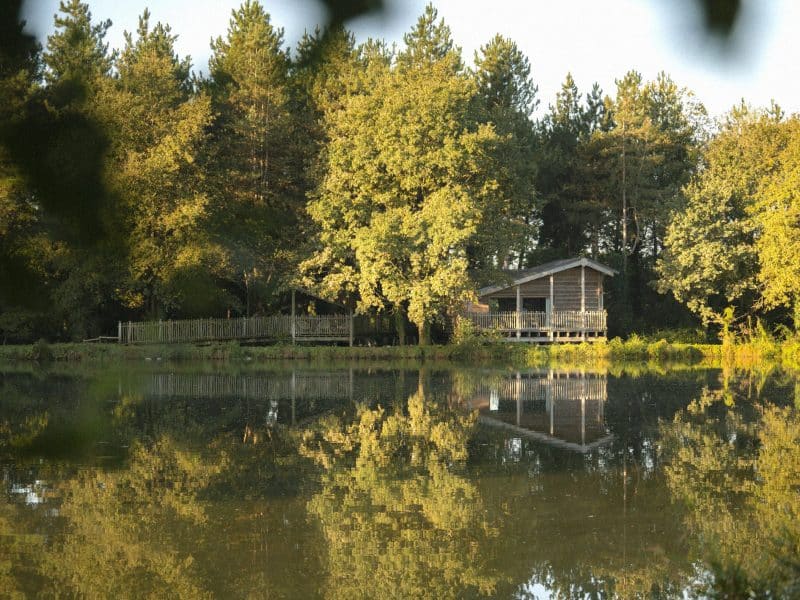 Chalet en bois au bord dun lac, entouré darbres verdoyants et paisibles.