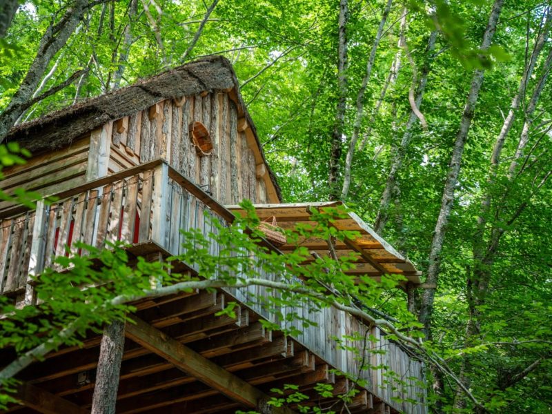Cabane perchée en bois, entourée d'arbres verdoyants, avec un balcon accueillant.