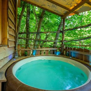 Cabane perchée dans les arbres avec jacuzzi, entourée de verdure luxuriante.