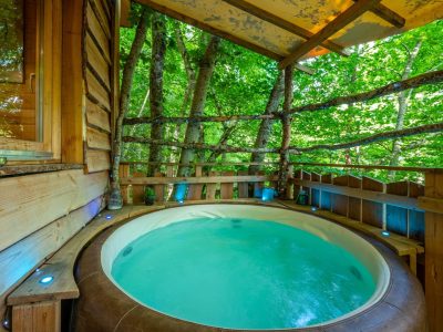 Cabane perchée dans les arbres avec jacuzzi, entourée de verdure luxuriante.