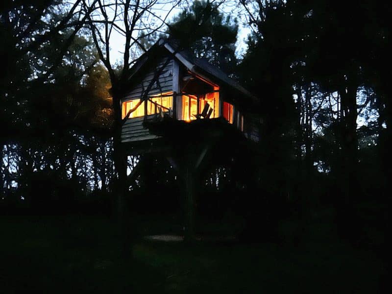 Cabane dans les arbres illuminée, nichée au cœur dune forêt paisible.