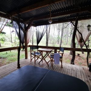 Cabane en bois avec terrasse, entourée d'arbres, offrant une vue paisible sur la nature.